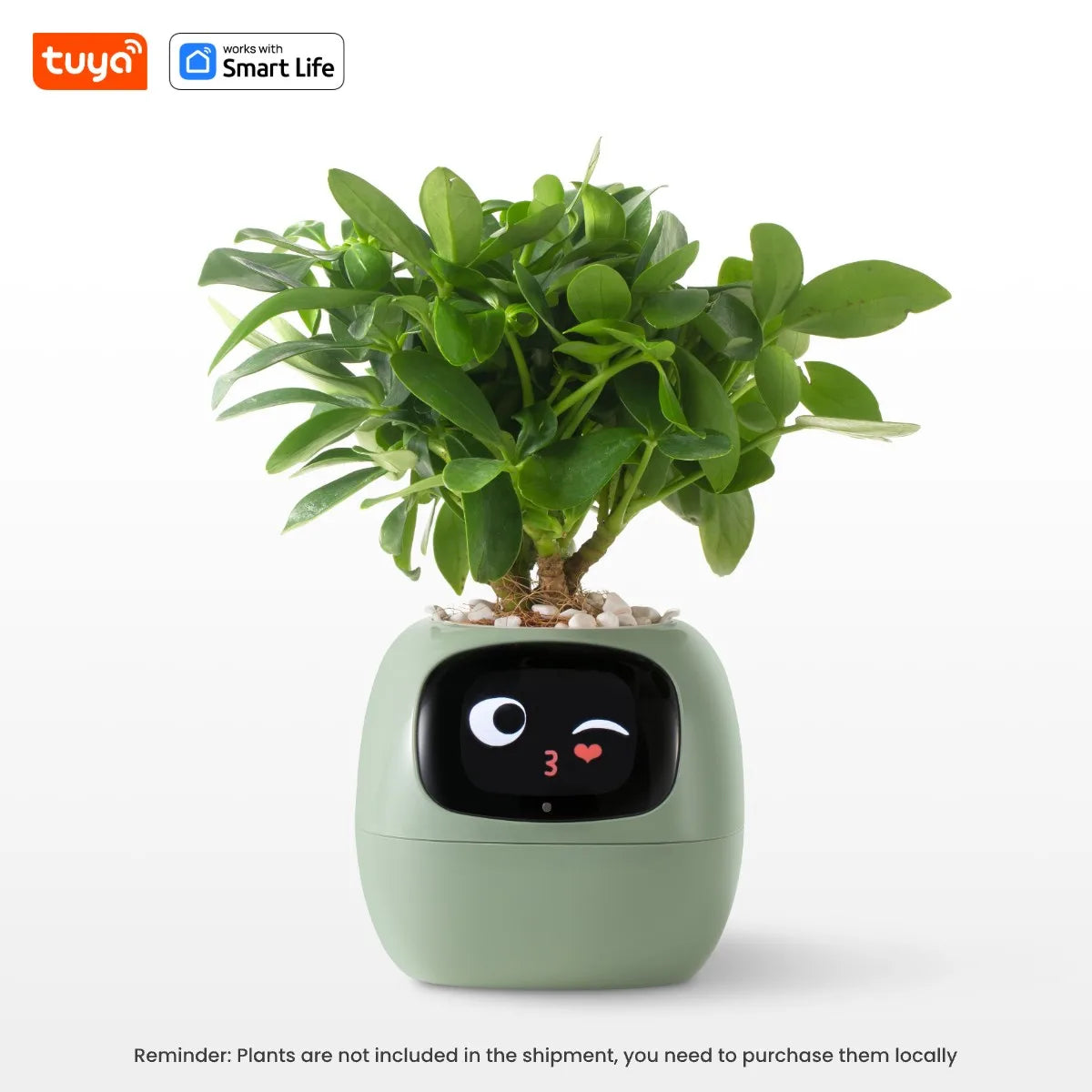 Plantagotchi AI Smart Planter – The Future of Plant Care Starts Here