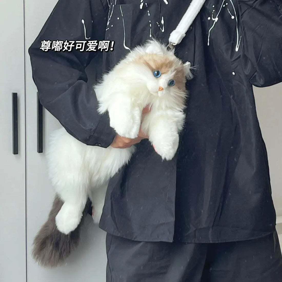 Cat Bagpack