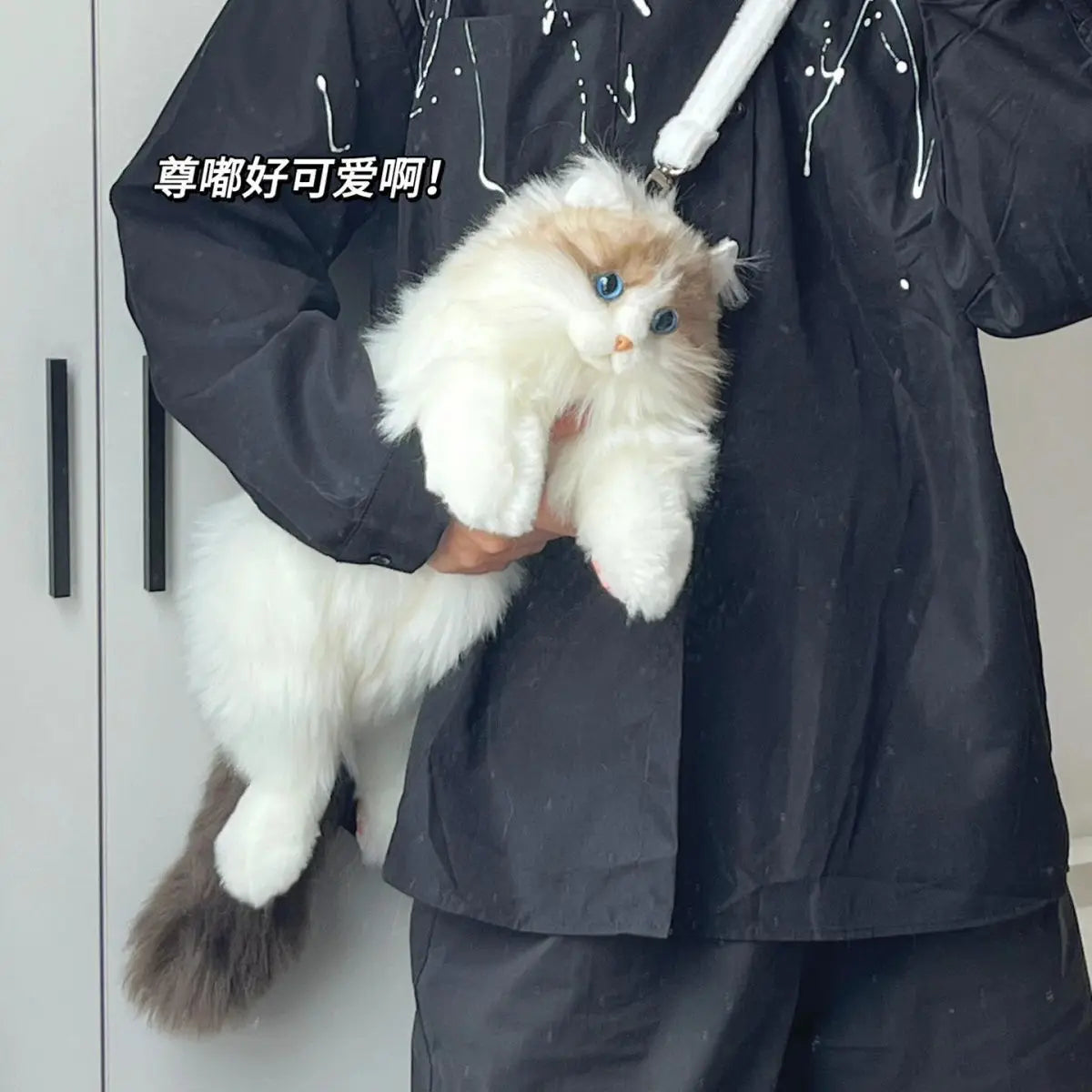Cat Bagpack