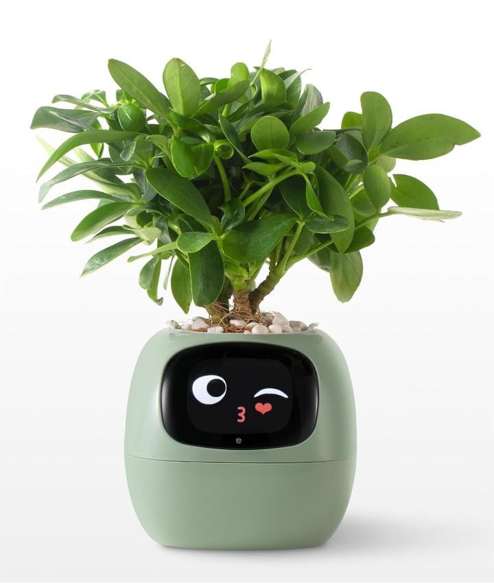 Plantagotchi AI Smart Planter – The Future of Plant Care Starts Here